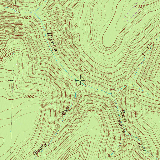 Topographic Map of Bloody Run, PA
