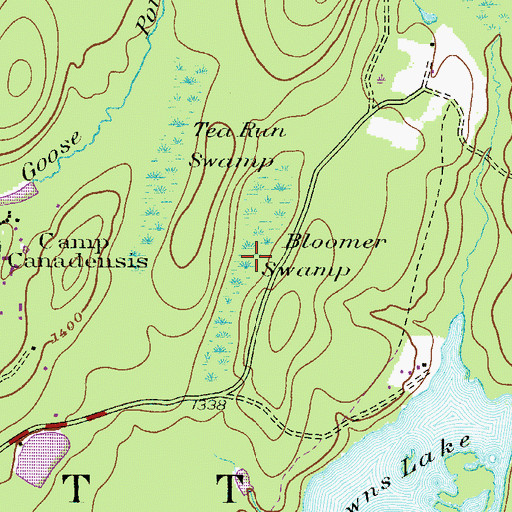 Topographic Map of Bloomer Swamp, PA