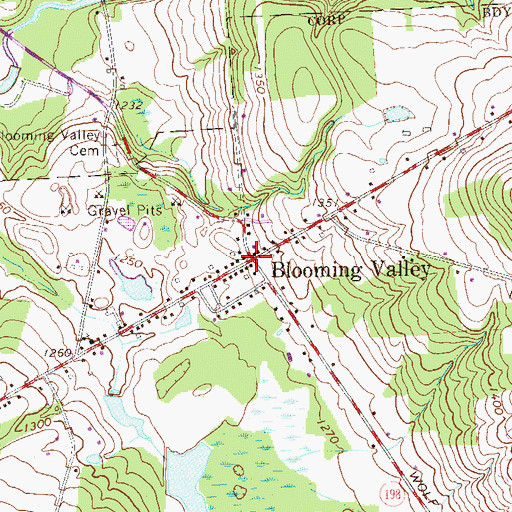 Topographic Map of Blooming Valley, PA