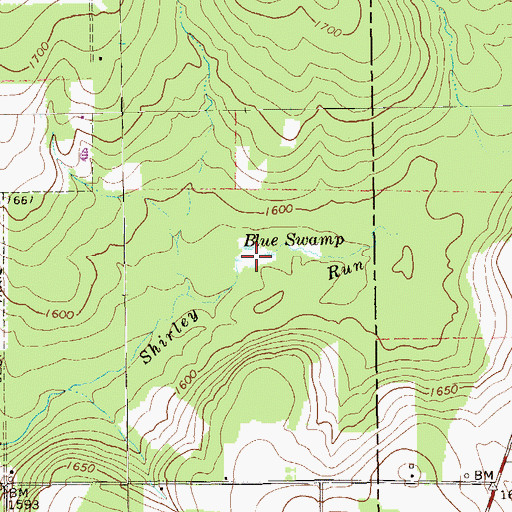 Topographic Map of Blue Swamp, PA