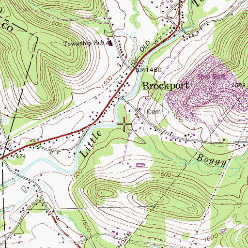 Topographic Map of Boggy Run, PA