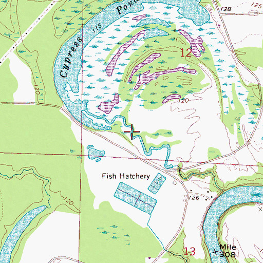 Topographic Map of Cypress Pond, AL
