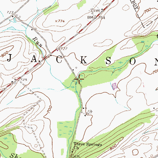 Topographic Map of Bowers Run, PA