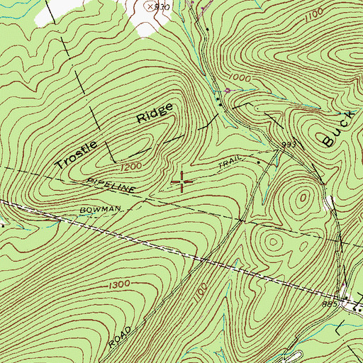 Topographic Map of Bowman Trail, PA