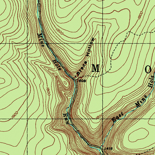 Topographic Map of Brace Hollow, PA