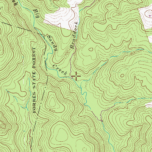 Topographic Map of Braddock Run, PA