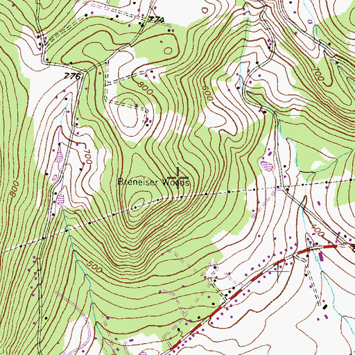 Topographic Map of Breneiser Woods, PA