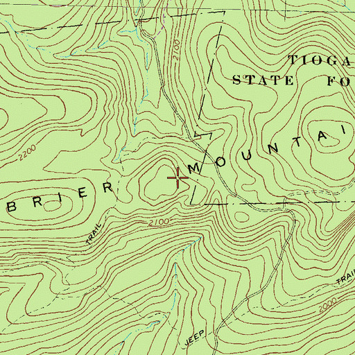 Topographic Map of Brier Mountain, PA