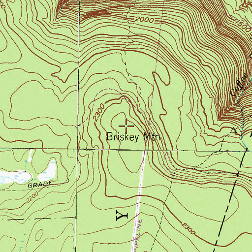 Topographic Map of Briskey Mountain, PA