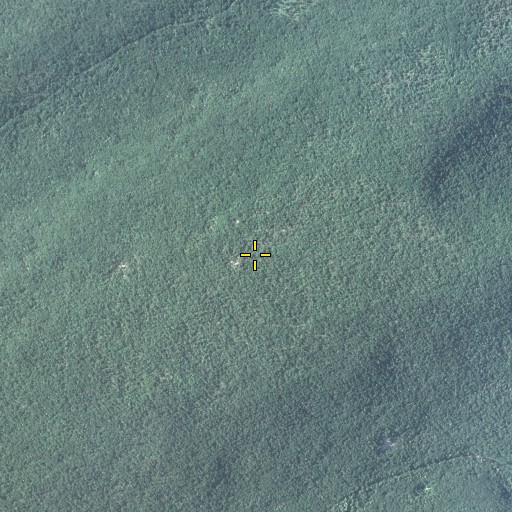 Aerial/Satellite Image of Broad Mountain, PA