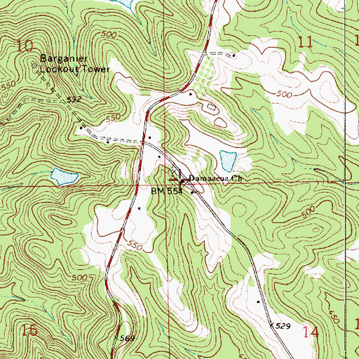 Topographic Map of Damascus Church, AL