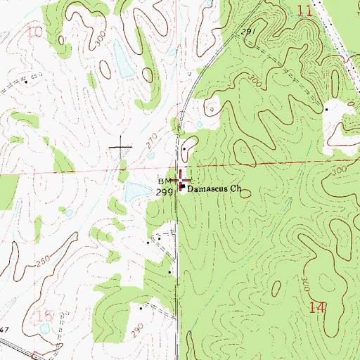 Topographic Map of Damascus Church, AL