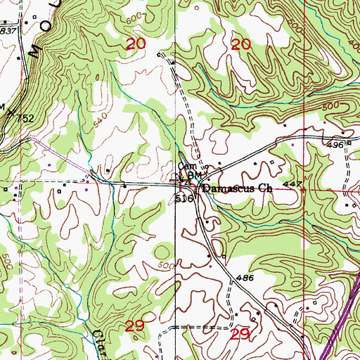 Topographic Map of Damascus Church, AL