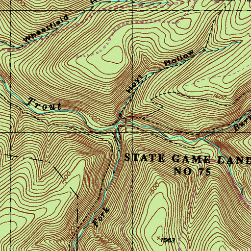 Topographic Map of Brown Fork, PA
