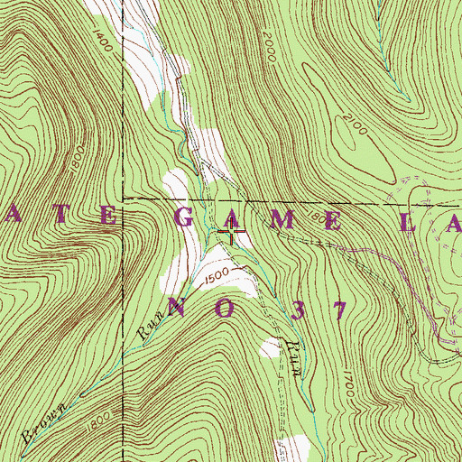 Topographic Map of Brown Run, PA