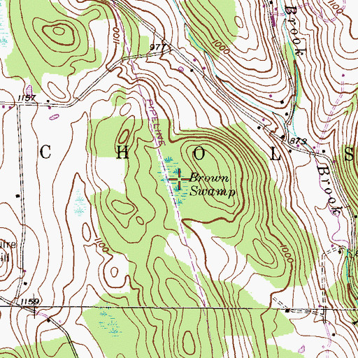 Topographic Map of Brown Swamp, PA