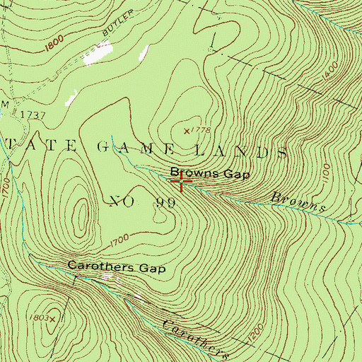 Topographic Map of Browns Gap, PA