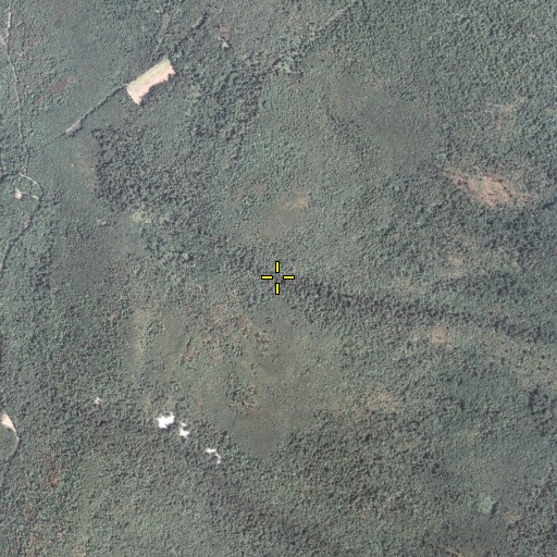 Aerial/Satellite Image of Browns Gap, PA