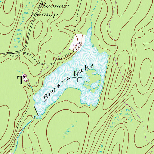 Topographic Map of Browns Lake, PA