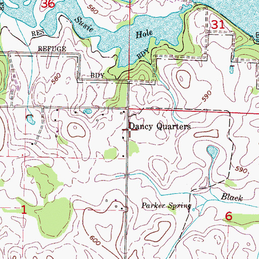 Topographic Map of Dancy Quarters, AL