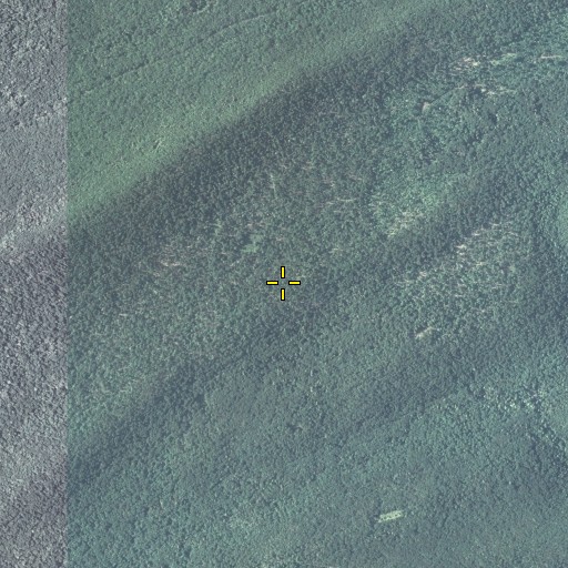 Aerial/Satellite Image of Brush Ridge, PA
