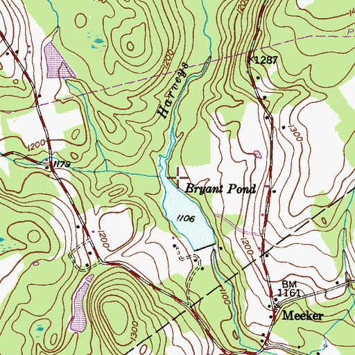 Topographic Map of Bryant Pond, PA