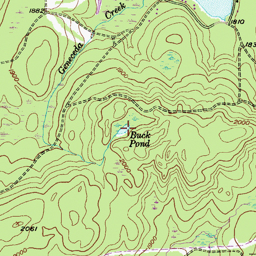 Topographic Map of Buck Pond, PA