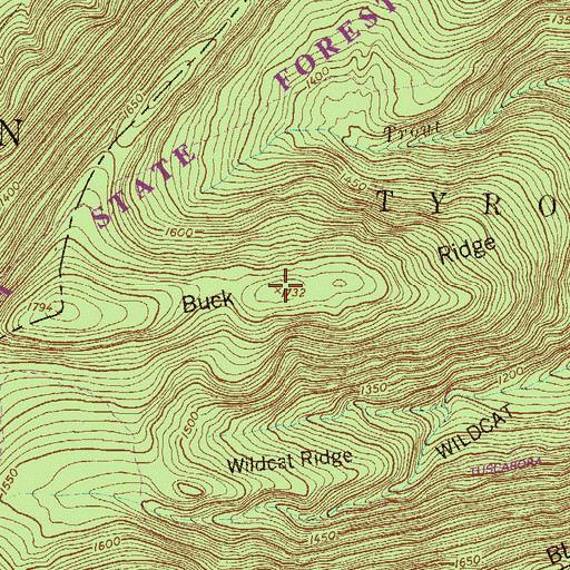 Topographic Map of Buck Ridge, PA