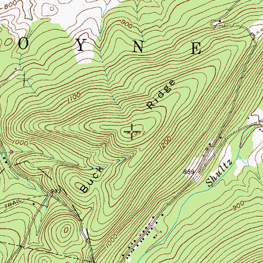 Topographic Map of Buck Ridge, PA