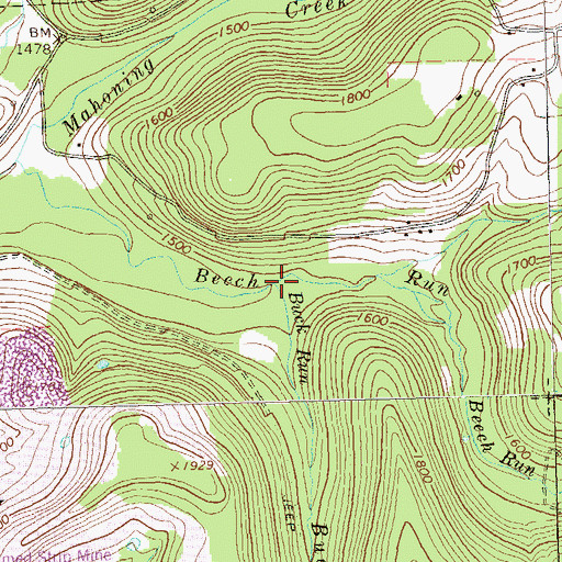 Topographic Map of Buck Run, PA