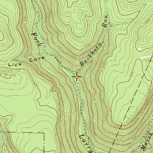 Topographic Map of Buckhorn Run, PA