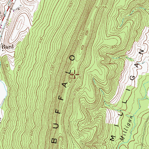 Topographic Map of Buffalo Mountain, PA