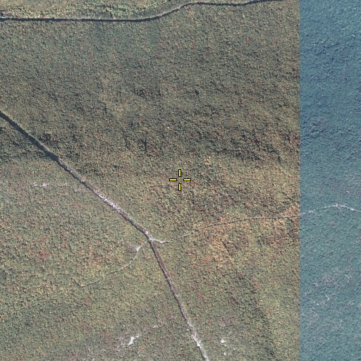 Aerial/Satellite Image of Buffalo Path, PA