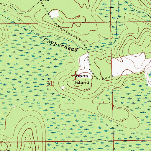 Topographic Map of Dans Island, AL