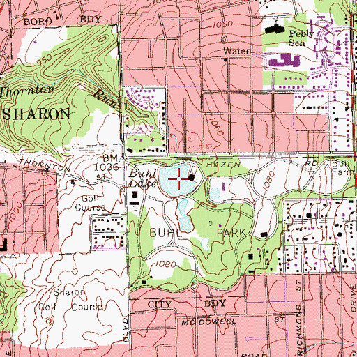 Topographic Map of Buhl Lake, PA