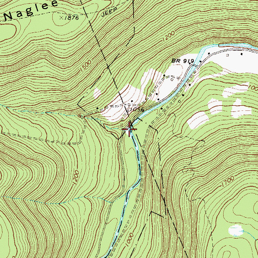 Topographic Map of Bull Run, PA