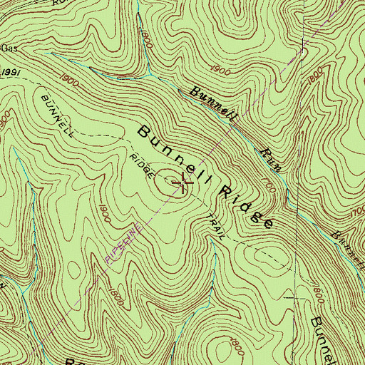 Topographic Map of Bunnell Ridge, PA