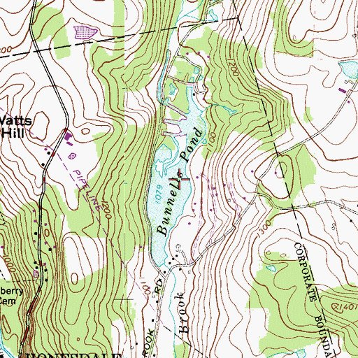 Topographic Map of Bunnells Pond, PA