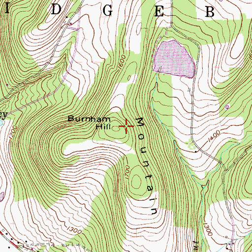 Topographic Map of Burnham Hill, PA