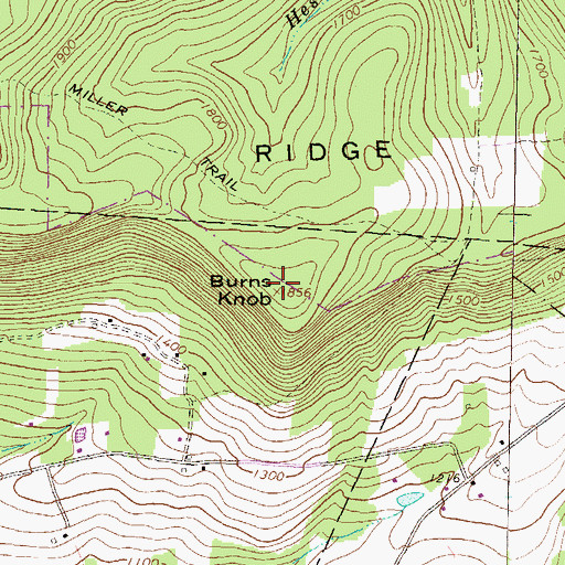 Topographic Map of Burns Knob, PA