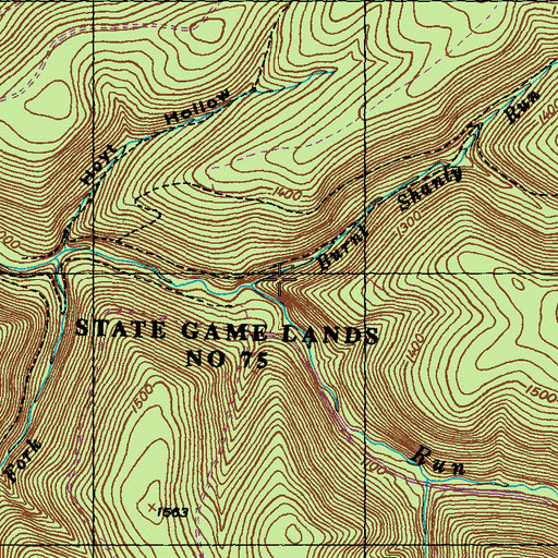 Topographic Map of Burnt Shanty Run, PA