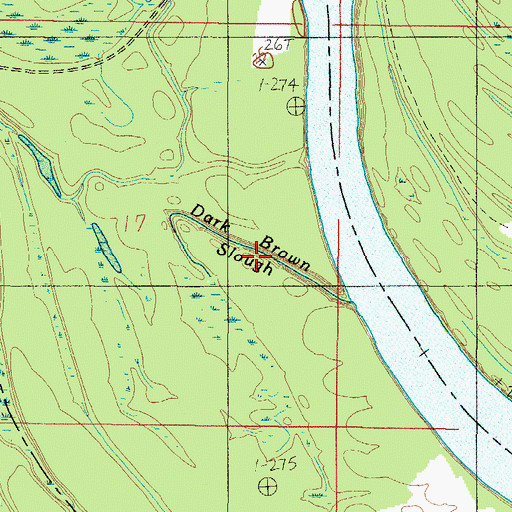 Topographic Map of Dark Brown Slough, AL