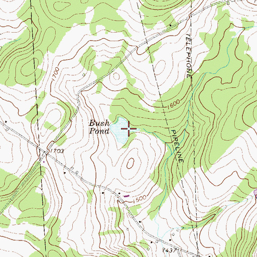 Topographic Map of Bush Pond, PA