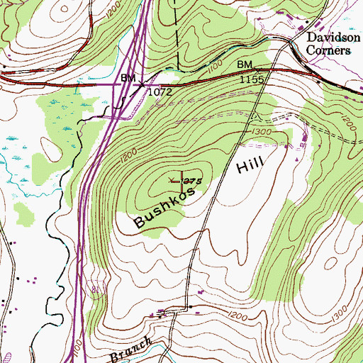 Topographic Map of Bushkos Hill, PA