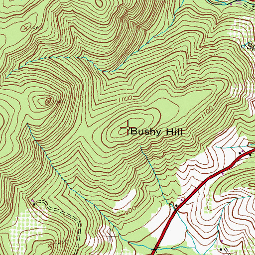 Topographic Map of Bushy Hill, PA