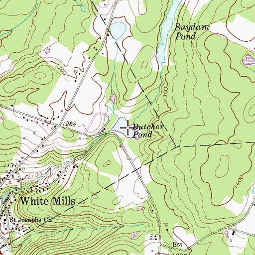 Topographic Map of Butcher Pond, PA