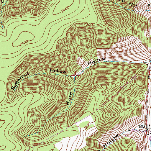 Topographic Map of Butternut Hollow, PA