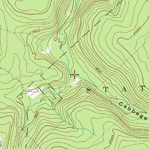 Topographic Map of Cabbage Hollow, PA