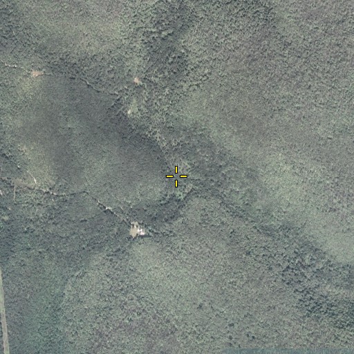 Aerial/Satellite Image of Cabbage Hollow, PA