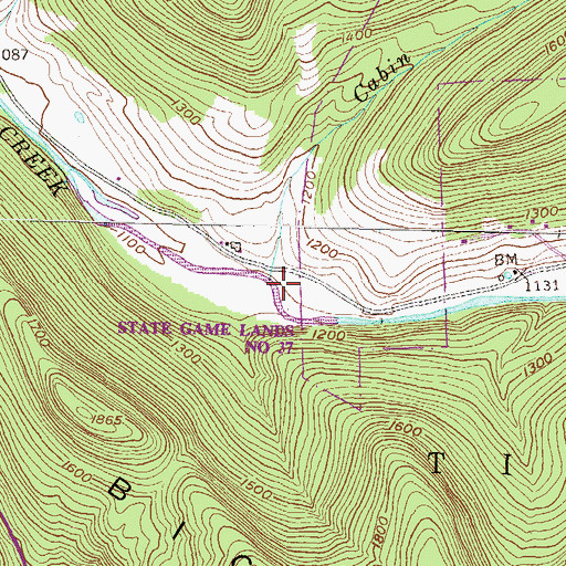 Topographic Map of Cabin Run, PA